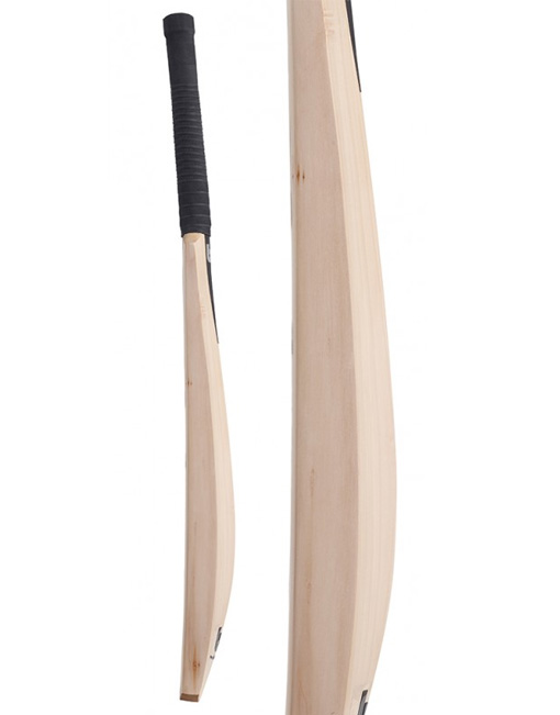 BB Pro Edition Cricket Bat - Image 3