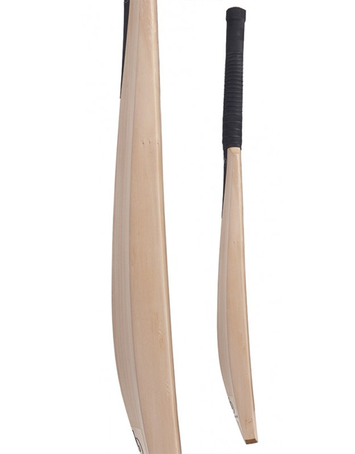 BB Pro Edition Cricket Bat - Image 2