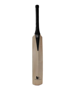 Alternative view of B20 Cricket Bat